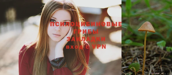 соль ск Бронницы