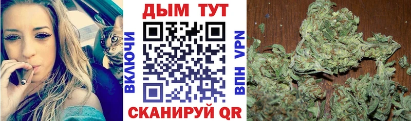 МАРИХУАНА конопля  Тбилисская 